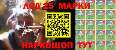 a pvp Кингисепп