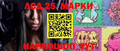 a pvp Кингисепп