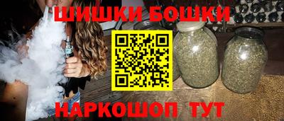 a pvp Кингисепп