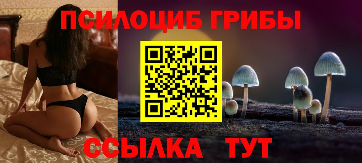 где можно купить   Псилоцибиновые грибы GOLDEN TEACHER  Вход с VPN  Краснокаменск 